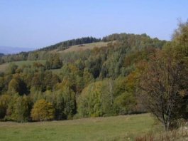 Řetenice